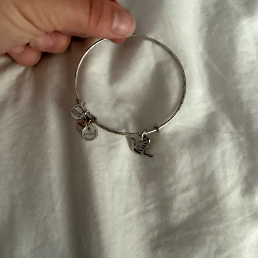 Alex and Ani Silver Charm Bracelet